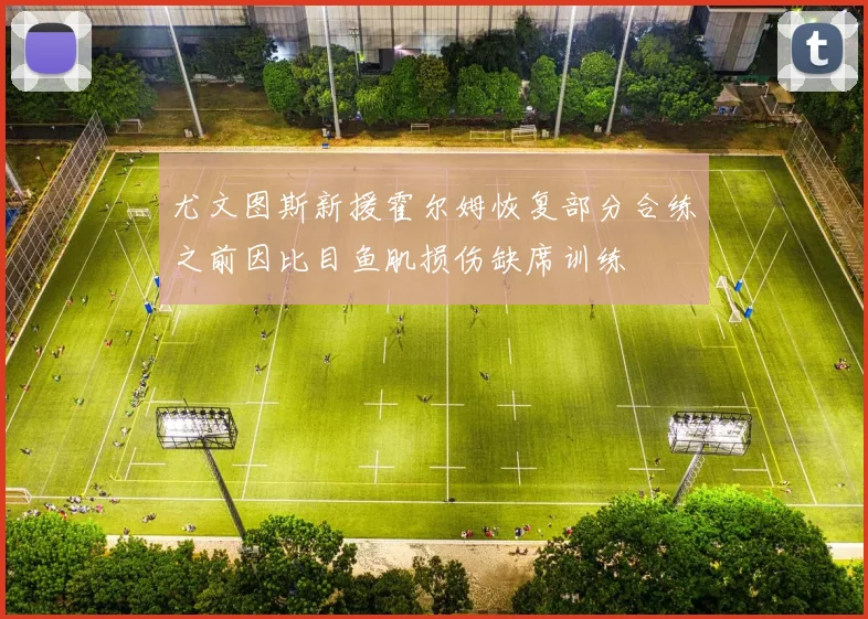 尤文图斯新援霍尔姆恢复部分合练之前因比目鱼肌损伤缺席训练